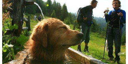 Hundehotel - Moos (Gmünd in Kärnten) - Urlaub mit Hund am Kreischberg (Foto: Ikarus TVB Murau-Kreischberg) - Club Hotel am Kreischberg
