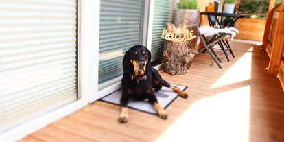 Hundehotel - Hundewiese: eingezäunt - Telfs - Sonnenanbeter - Haus am Wildbach