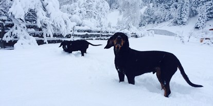 Hundehotel - Hundewiese: eingezäunt - Dorf Tirol - Winter im Schnee - Haus am Wildbach