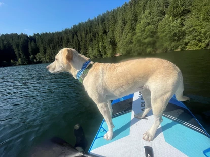 Hundehotel - Bademöglichkeit für Hunde - Seckau - SUP ausleihen möglich  - Naturforsthaus 