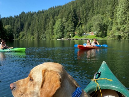 Hundehotel - Umgebungsschwerpunkt: See - Kanufahrt mit Hund  - Naturforsthaus 