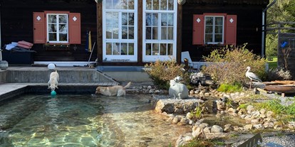 Hundehotel - Unterkunftsart: Pension - PLZ 9122 (Österreich) - Naturforsthaus 