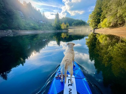 Hundehotel - Bademöglichkeit für Hunde - Knappenberg - Hirzmann See - Naturforsthaus 