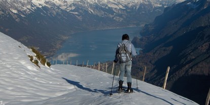 Hundehotel - Award-Gewinner - PLZ 3775 (Schweiz) - Winterwandern und Schneeschuhlaufen in idyllischer Umgebung  - Chalet-Gafri BnB - traditionelle Frühstückspension 