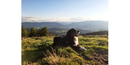 Hundehotel - WLAN - Steiermark - wunderbar zum Wandern mit dem Hund im Herbst!! - Ferienhaus Harmonie
