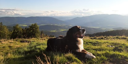 Hundehotel - Zustellbett - wunderbar zum Wandern mit dem Hund im Herbst!! - Ferienhaus Harmonie