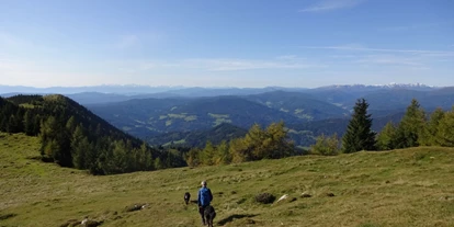 Hundehotel - Mountainbiken - Steiermark - Leichte bis mittelschwere geführte Bergtoren sind mit uns möglich!!  - Ferienhaus Harmonie