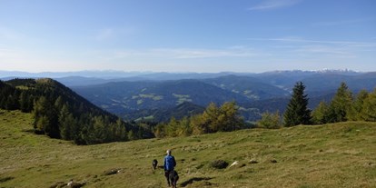 Hundehotel - Schwerpunkt: einfach & gut & günstig - Steiermark - Leichte bis mittelschwere geführte Bergtoren sind mit uns möglich!!  - Ferienhaus Harmonie