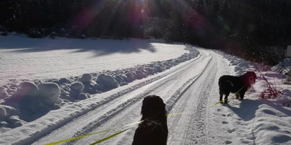 Hundehotel - Garten - Österreich - Wunderschöne Winterwanderwege in ruhiger abgelegene  Gegend hier gibt es eine gemäßigten Tourismus!! Man begegnet nur ganz selten weitere Hunde auf den Wanderungen !! - Ferienhaus Harmonie