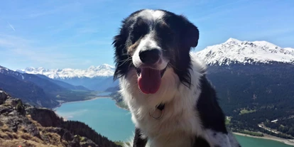 Hundehotel - Hund im Restaurant erlaubt - Sölden (Sölden) - Coudy auf Wanderschaft - Hotel Reschnerhof