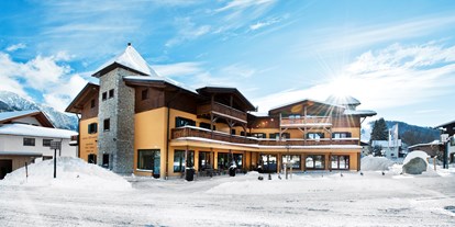Hundehotel - Umgebungsschwerpunkt: Berg - PLZ 6410 (Österreich) - Apart-Hotel Torri di Seefeld