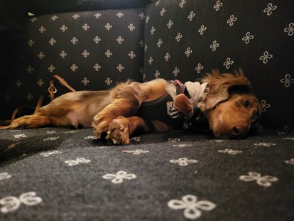 Hundehotel - Hund im Restaurant erlaubt - Gartenhotel Theresia****S - DAS "Grüne" Paradies für Zwei-& Vierbeiner
