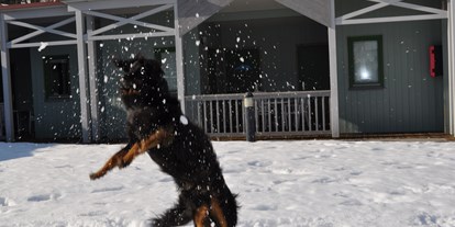 Hundehotel - Hundewiese: nicht eingezäunt - Leoben (Leoben) - Winterspaß für Ihren Hund - Gästedorf Waldheimat