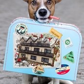 Urlaub-mit-Hund - Unser hundefreundliches Hotel - Hotel Eulenhof ⭐️⭐️⭐️ , das Hotel für Mensch und Tier.. Liebevoll gestaltet und ausgestattet
