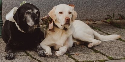 Hundehotel - Umgebungsschwerpunkt: Fluss - Ehemalige Chef de Security: Kathi & Lotta - Familien und Vitalhotel Mühlpointhof ***S