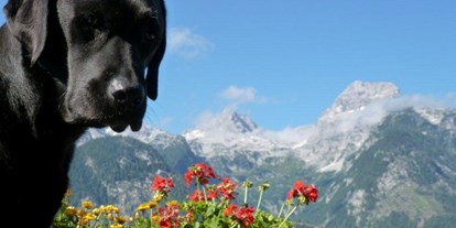 Hundehotel - keine Leinenpflicht im Hotel - PLZ 5661 (Österreich) - Chef de Security: Kathi - Familien und Vitalhotel Mühlpointhof ***S