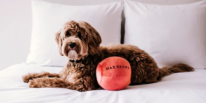 Hundehotel - Hund im Restaurant erlaubt - Rösrath - Max Brown Hotel Midtown