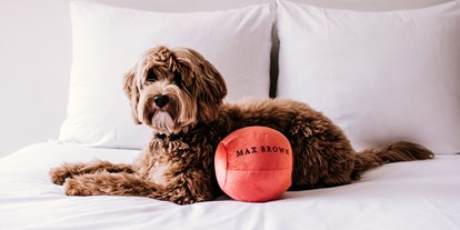 Hundehotel - keine Leinenpflicht im Hotel - Deutschland - Max Brown Hotel Midtown