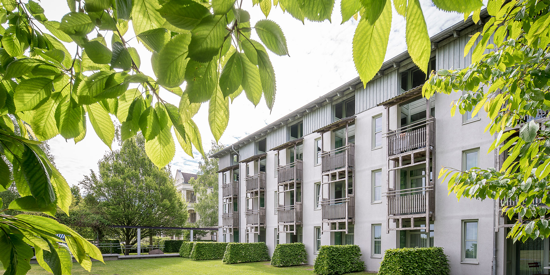 Urlaub-mit-Hund - Außenansicht Rügener Ferienhäuser am Hochufer - Rügener Ferienhäuser am Hochufer