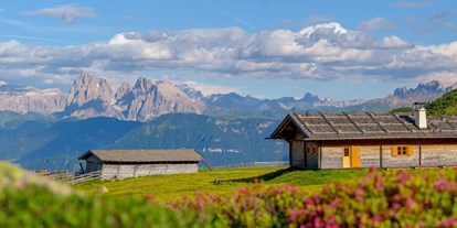 Hundehotel - Unterkunftsart: Chalets - Südtirol - Hoteleigene Alm - Sonnenhotel Adler Nature Spa Adults only