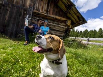 Hundehotel - Umgebungsschwerpunkt: am Land - Dorf Tirol - Sonnenhotel Adler Nature Spa Adults only