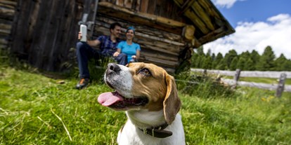 Hundehotel - Wellnessbereich - Niederdorf (Trentino-Südtirol) - Sonnenhotel Adler Nature Spa Adults only