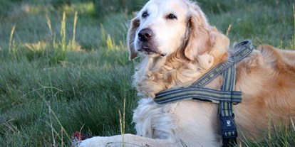 Hundehotel - Klassifizierung: 4 Sterne - Entspannung für Hund und Herrchen - Ortners Eschenhof - Alpine Slowness
