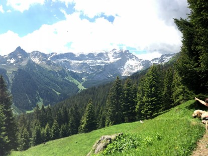 Hundehotel - Vorarlberg - Wanderweg mit herrlicher Aussicht auf die Berge - Hotel Zimba Gmbh + CoKG