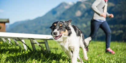 Hundehotel - Hundewiese: nicht eingezäunt - Flachau - Ganzenhubhof