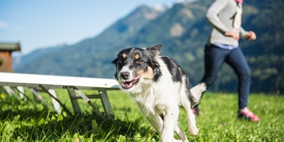 Hundehotel - Hundewiese: nicht eingezäunt - Unterburg (Kals am Großglockner) - Ganzenhubhof