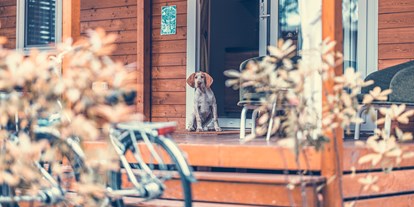 Hundehotel - Hundewiese: nicht eingezäunt - Italien - Resort Tenuta Primero