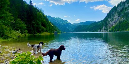 Hundehotel - Umgebungsschwerpunkt: Fluss - Großarl - Promi Alm Flachau