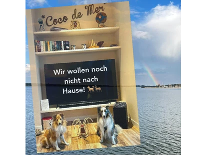 Hundehotel - in einer Ferienanlage/Wohnanlage - Deutschland - Den beiden hat es mit Frauchen und Herrchen ganz toll gefallen. Danke für den Bildgruß, den wir verwenden dürfen. - Coco de Mer