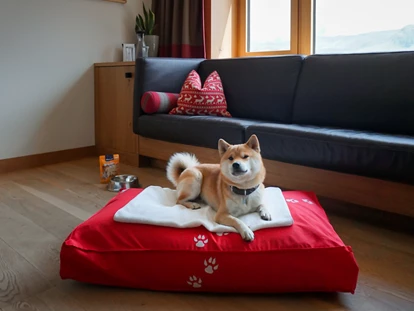 Hundehotel - keine Leinenpflicht im Hotel - Schangnau - Frutt Mountain Resort