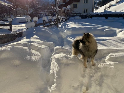 Hundehotel - Pools: Außenpool nicht beheizt - Feldthurns - Urlaub mit Hund im Winter - Hotel Sonja
