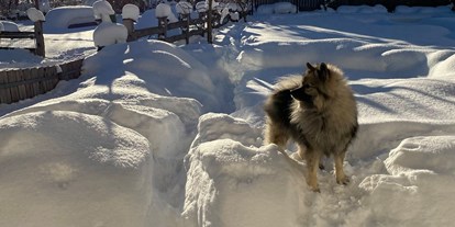 Hundehotel - Unterkunftsart: Hotel - Südtirol - Urlaub mit Hund im Winter - Hotel Sonja