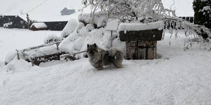 Hundehotel - Sauna - PLZ 5741 (Österreich) - Winterwandern mit Hund - Hotel Sonja