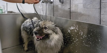 Hundehotel - Bademöglichkeit für Hunde - Stans (Stans) - Hotel Sonja