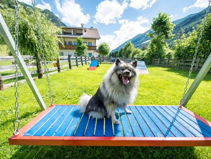 Hundehotel - Hundewiese: eingezäunt - Mayrhofen (Mayrhofen) - Hotel Sonja