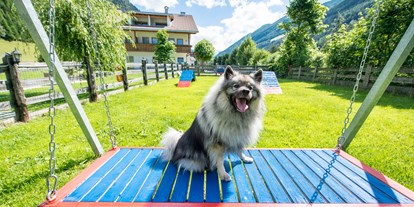Hundehotel - Umgebungsschwerpunkt: Berg - PLZ 9918 (Österreich) - Hotel Sonja
