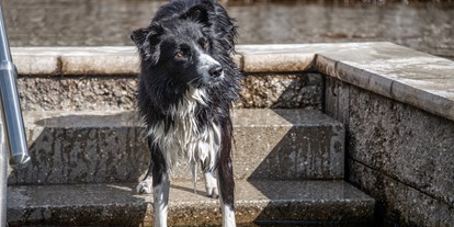 Hundehotel - Pools: Außenpool nicht beheizt - PLZ 6293 (Österreich) - Hotel Sonja