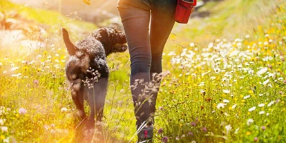 Hundehotel - keine Leinenpflicht im Hotel - Hutterer Böden - Spaziergang mit Hund  - Appartement Mama