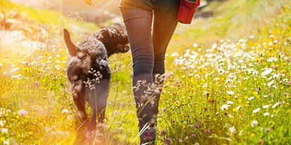 Hundehotel - keine Leinenpflicht im Hotel - Braunötzhof - Spaziergang mit Hund  - Appartement Mama