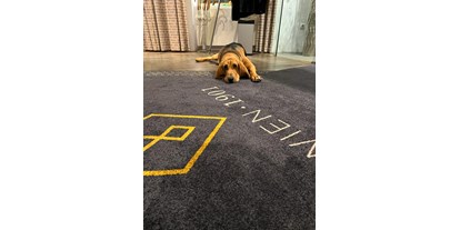 Hundehotel - Trink-/Fressnapf: an der Rezeption - Mannswörth - Hotelhund Albert - BoutiqueHOTEL Donauwalzer Wien