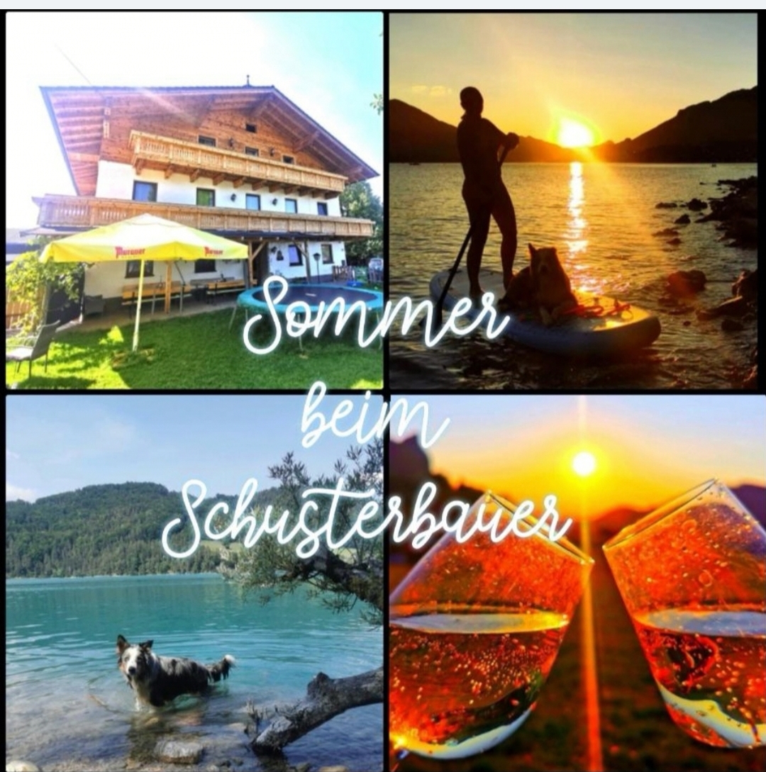 Urlaub im Ferienhaus mit Hund: Schusterbauer Koppl 