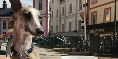 Hundehotel - Doggies: 3 Doggies - Gasen - Oscar Hotelterrasse - AKTIVHOTEL Weisser Hirsch