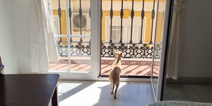 Hundehotel - Hund im Restaurant erlaubt - Hotel La Morena