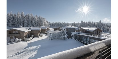 Hundehotel - Wellnessbereich - Roßberg - INNs HOLZ Chaletdorf Resort im Winter - INNs HOLZ Chaletdorf