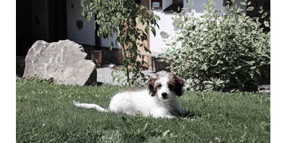 Hundehotel - Trink-/Fressnapf: vor dem Haus - Röhrnbach - INNs HOLZ hundefreundliches Chaletdorf Urlaub mit Hund im Sommer - INNs HOLZ Chaletdorf
