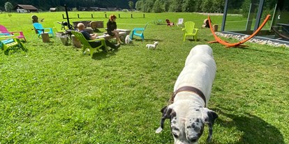 Hundehotel - Doggies: 1 Doggy - Mörel (Mörel-Filet) - Alpine BASE Hostel